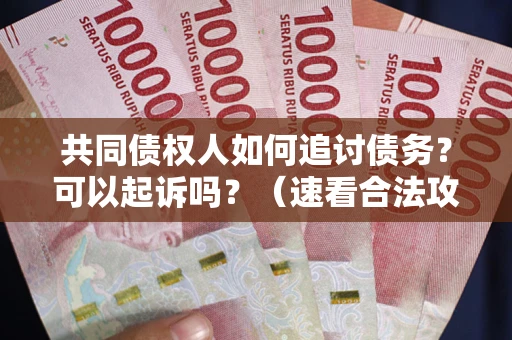 北京共同债权人如何追讨债务？可以起诉吗？（速看合法攻略）